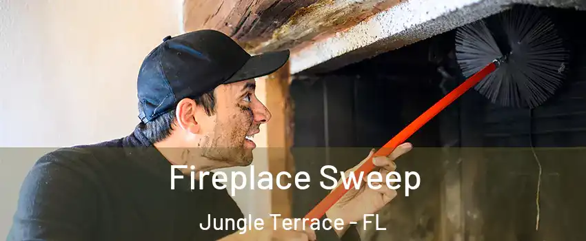 Fireplace Sweep Jungle Terrace - FL