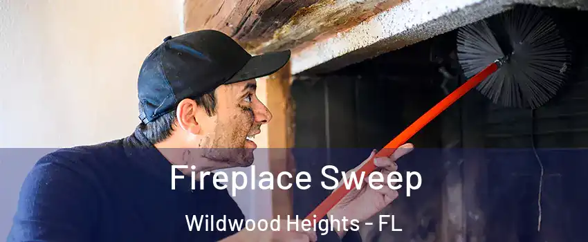 Fireplace Sweep Wildwood Heights - FL