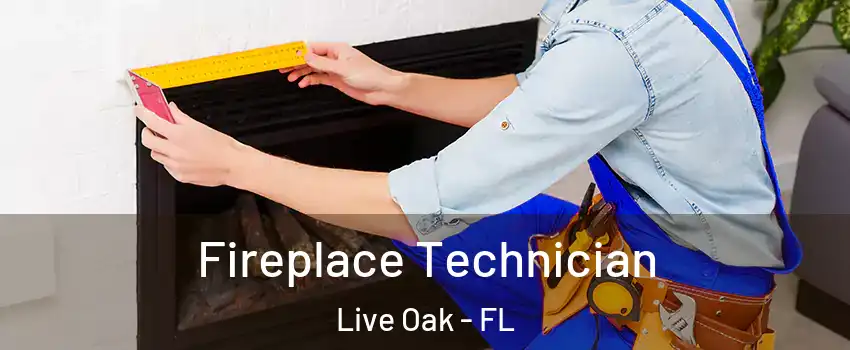 Fireplace Technician Live Oak - FL