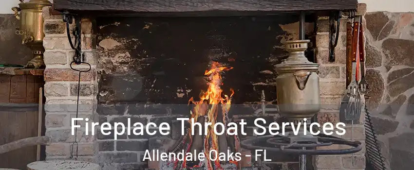 Fireplace Throat Services Allendale Oaks - FL