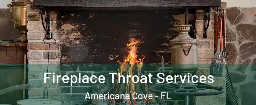 Fireplace Throat Services Americana Cove - FL