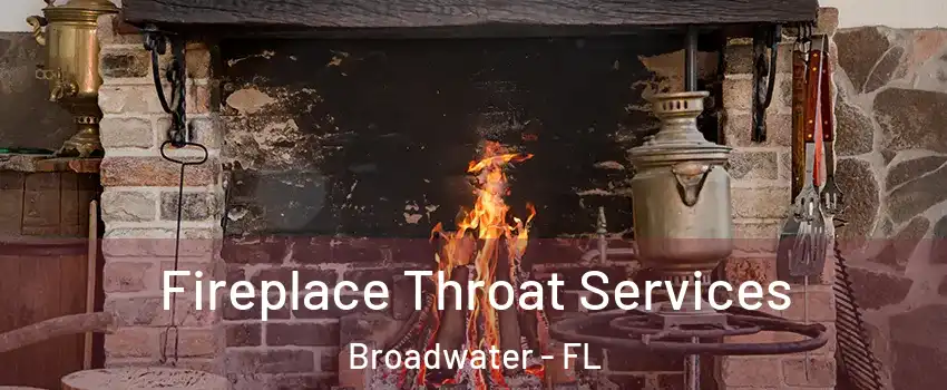 Fireplace Throat Services Broadwater - FL