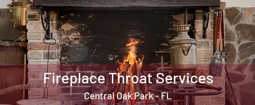 Fireplace Throat Services Central Oak Park - FL