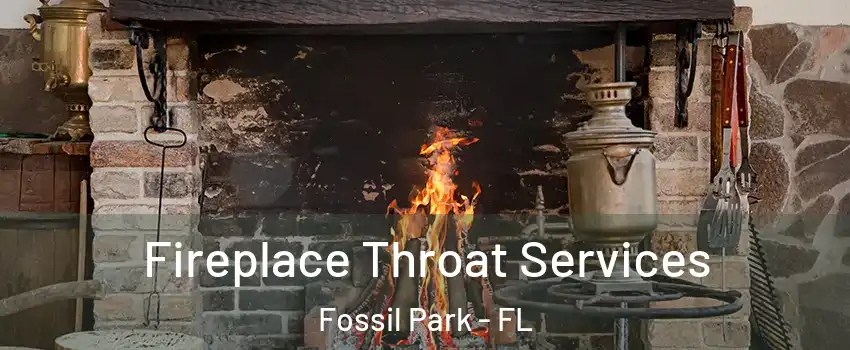 Fireplace Throat Services Fossil Park - FL