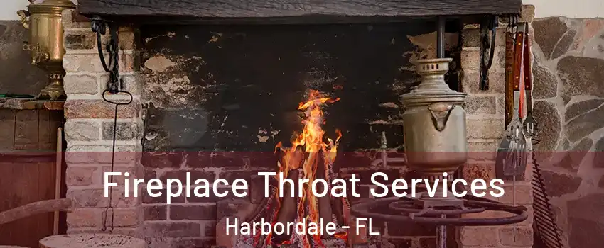 Fireplace Throat Services Harbordale - FL