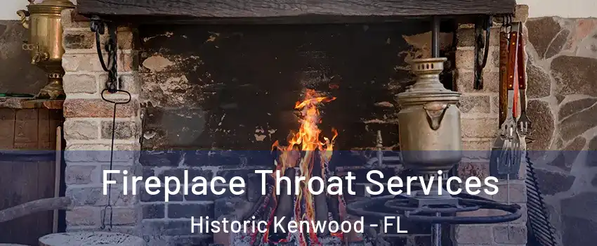 Fireplace Throat Services Historic Kenwood - FL