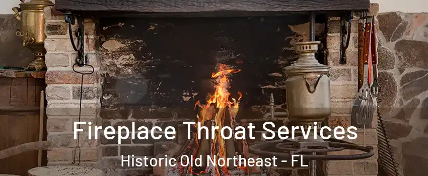 Fireplace Throat Services Historic Old Northeast - FL