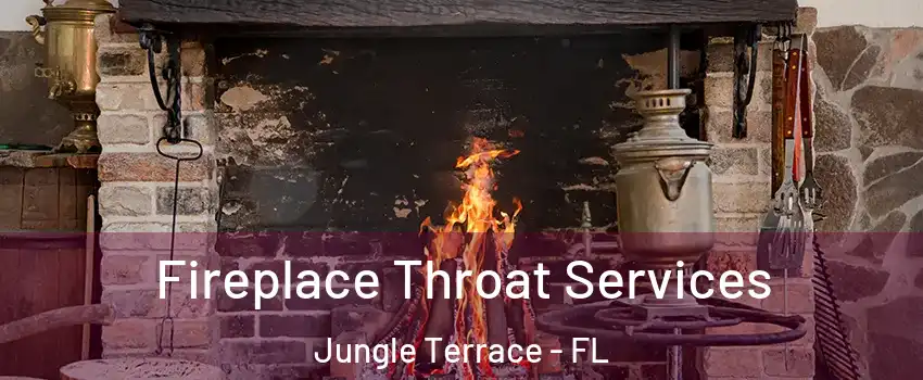 Fireplace Throat Services Jungle Terrace - FL
