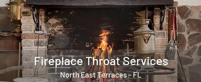 Fireplace Throat Services North East Terraces - FL