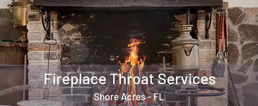 Fireplace Throat Services Shore Acres - FL