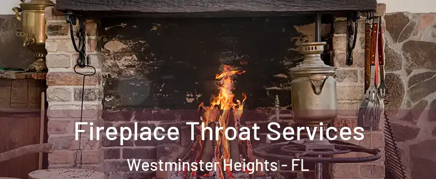 Fireplace Throat Services Westminster Heights - FL