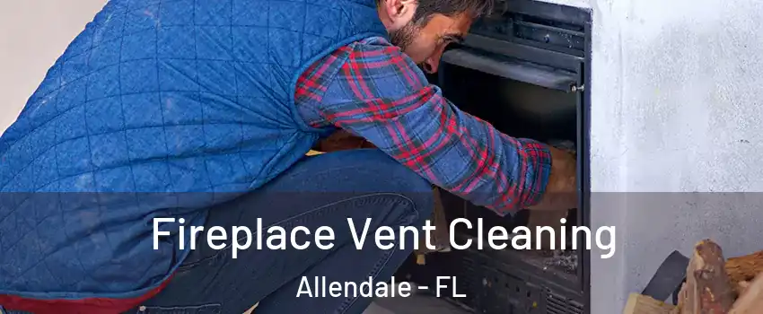 Fireplace Vent Cleaning Allendale - FL