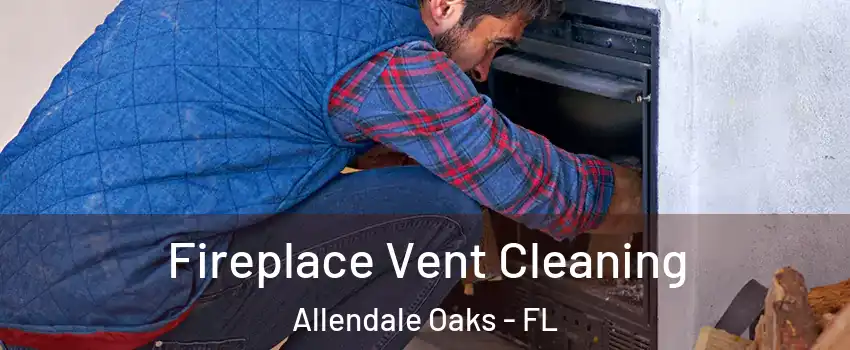 Fireplace Vent Cleaning Allendale Oaks - FL