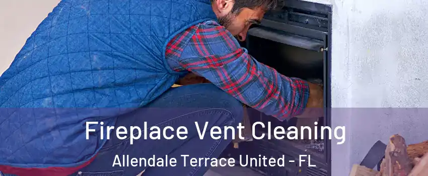 Fireplace Vent Cleaning Allendale Terrace United - FL