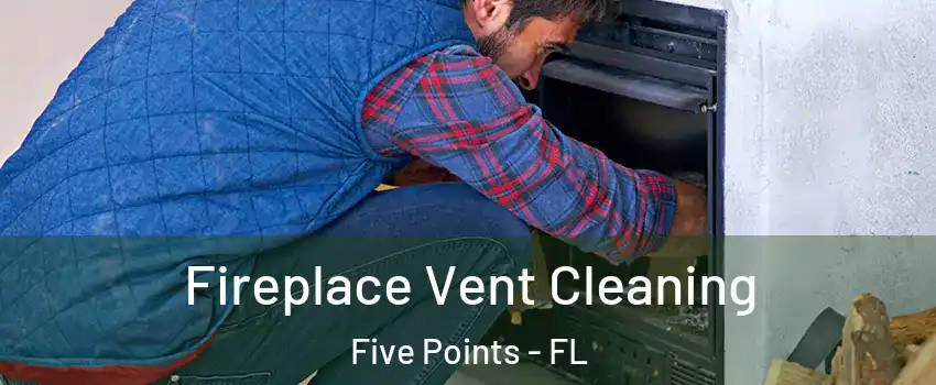 Fireplace Vent Cleaning Five Points - FL