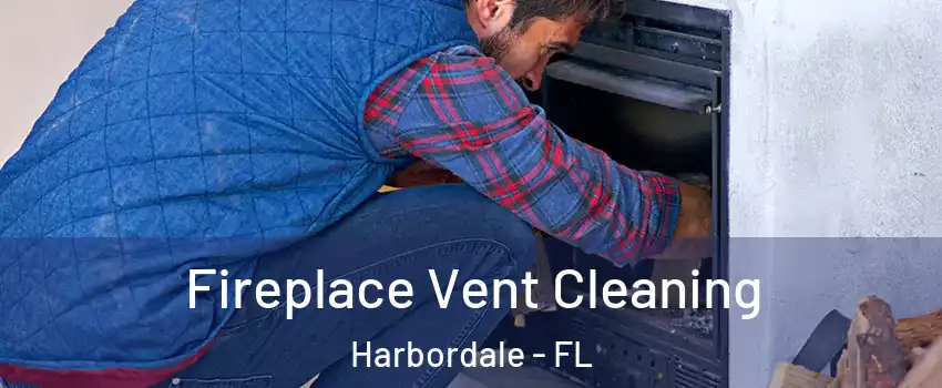 Fireplace Vent Cleaning Harbordale - FL