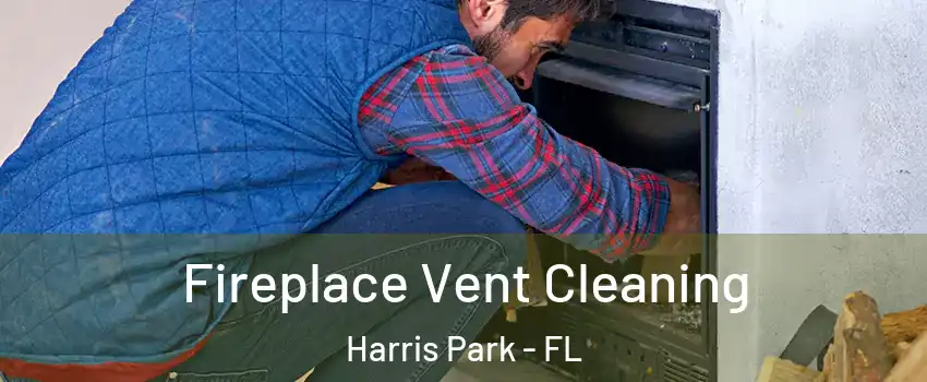 Fireplace Vent Cleaning Harris Park - FL