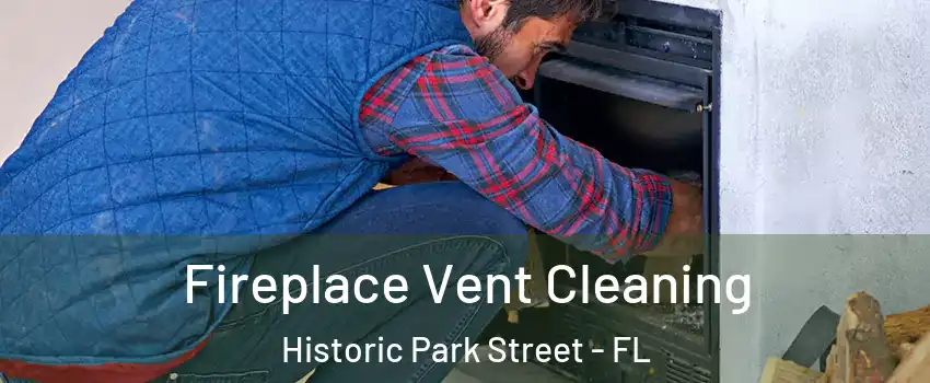 Fireplace Vent Cleaning Historic Park Street - FL