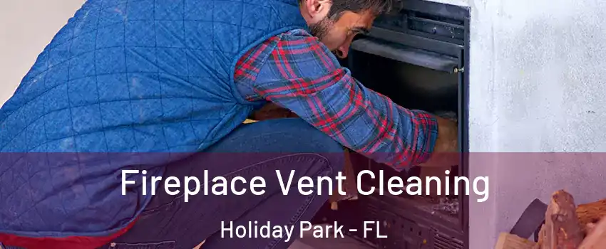 Fireplace Vent Cleaning Holiday Park - FL
