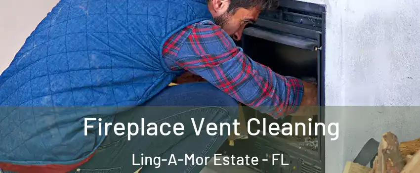 Fireplace Vent Cleaning Ling-A-Mor Estate - FL
