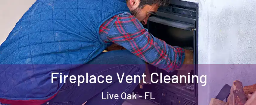 Fireplace Vent Cleaning Live Oak - FL