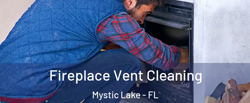 Fireplace Vent Cleaning Mystic Lake - FL