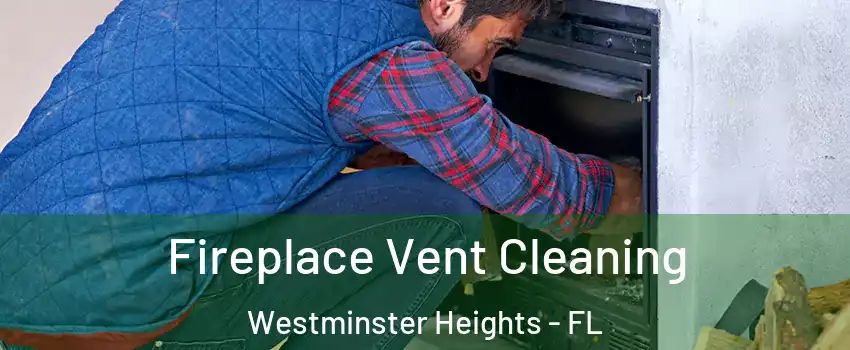 Fireplace Vent Cleaning Westminster Heights - FL