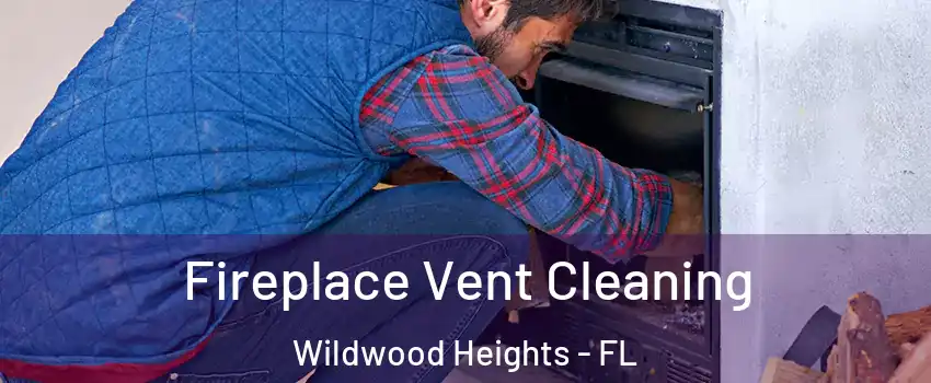Fireplace Vent Cleaning Wildwood Heights - FL