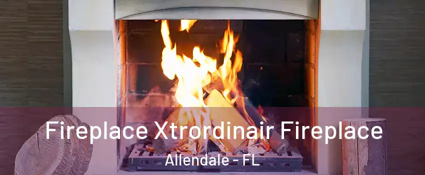 Fireplace Xtrordinair Fireplace Allendale - FL