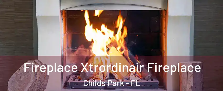 Fireplace Xtrordinair Fireplace Childs Park - FL