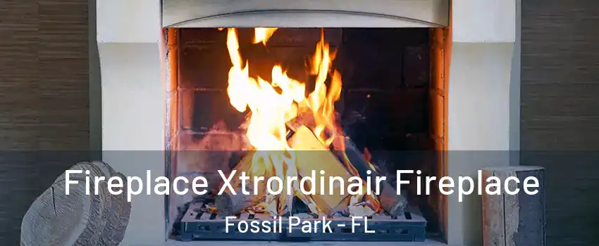 Fireplace Xtrordinair Fireplace Fossil Park - FL
