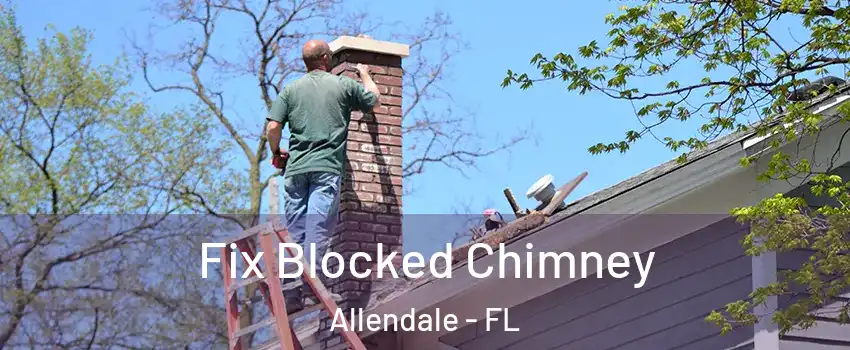 Fix Blocked Chimney Allendale - FL