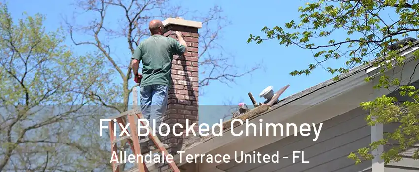Fix Blocked Chimney Allendale Terrace United - FL