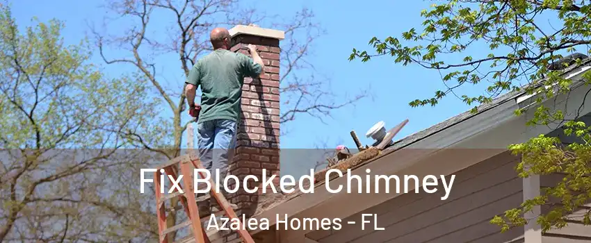 Fix Blocked Chimney Azalea Homes - FL