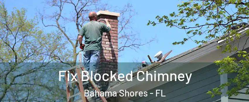 Fix Blocked Chimney Bahama Shores - FL
