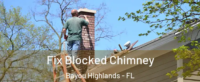 Fix Blocked Chimney Bayou Highlands - FL
