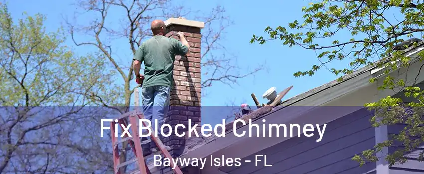 Fix Blocked Chimney Bayway Isles - FL