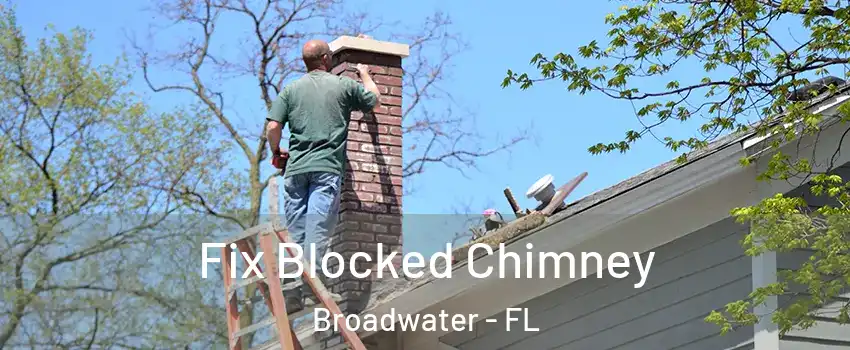 Fix Blocked Chimney Broadwater - FL