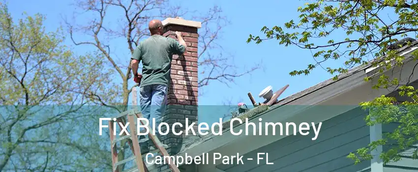 Fix Blocked Chimney Campbell Park - FL