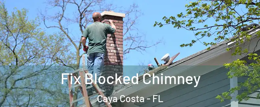 Fix Blocked Chimney Caya Costa - FL