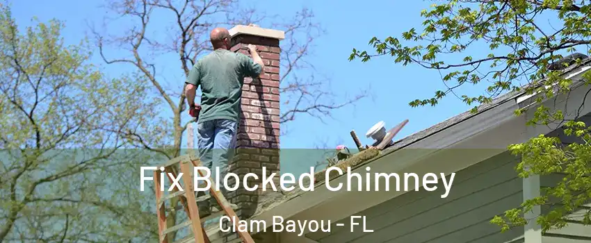 Fix Blocked Chimney Clam Bayou - FL