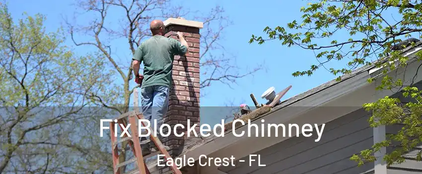 Fix Blocked Chimney Eagle Crest - FL