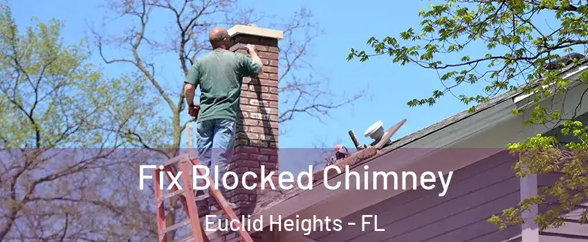 Fix Blocked Chimney Euclid Heights - FL
