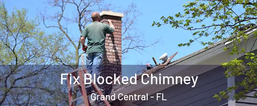 Fix Blocked Chimney Grand Central - FL