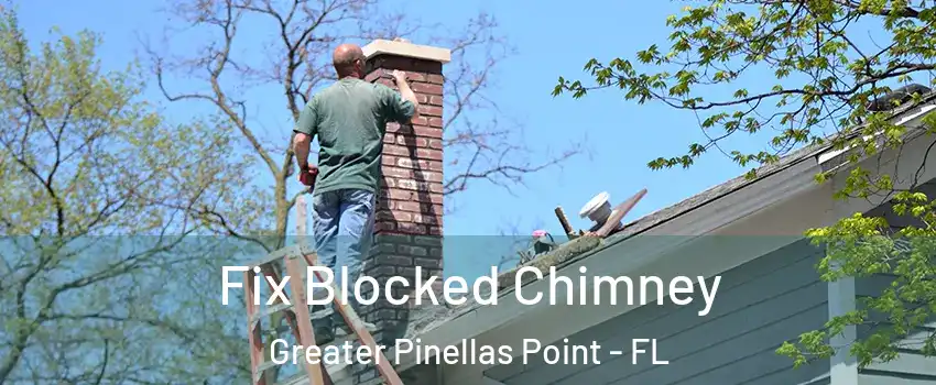 Fix Blocked Chimney Greater Pinellas Point - FL
