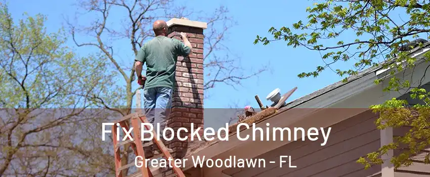 Fix Blocked Chimney Greater Woodlawn - FL