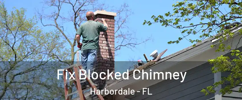 Fix Blocked Chimney Harbordale - FL