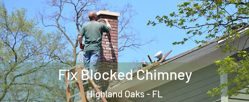 Fix Blocked Chimney Highland Oaks - FL