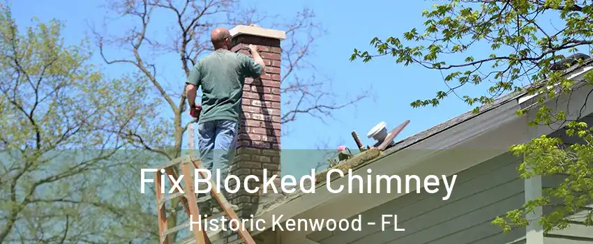 Fix Blocked Chimney Historic Kenwood - FL