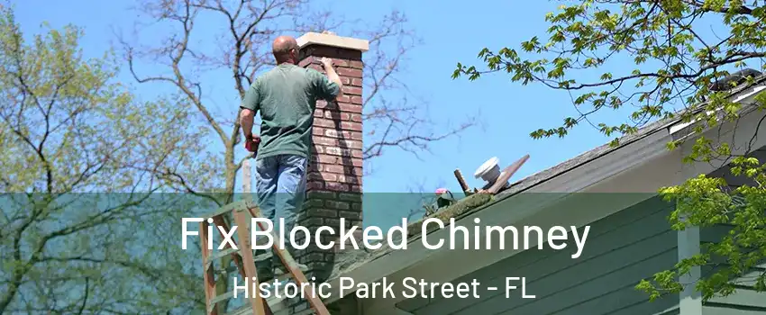 Fix Blocked Chimney Historic Park Street - FL